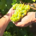 423561a3-37b8-4353-afd4-04c88a26dfba