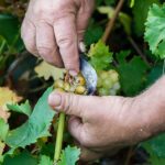 ΜΕ ΤΟ ΚΑΤΣΟΥΝΙ