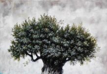 Αίτημα αποζημίωσης ελαιοπαραγωγών