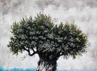 Αίτημα αποζημίωσης ελαιοπαραγωγών