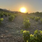 ΑΙΤΗΣΕΙΣ ΝΕΑΣ ΦΥΤΕΥΣΗΣ 2026