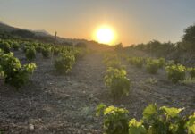 ΑΙΤΗΣΕΙΣ ΝΕΑΣ ΦΥΤΕΥΣΗΣ 2026