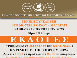 ΕΚΛΟΓΕΣ ΓΙΑ ΤΗΝ ΑΝΑΔΕΙΞΗ ΟΡΓΑΝΩΝ ΤΟΥ ΕΟΣ ΣΑΜΟΥ