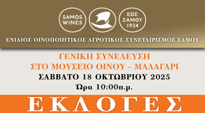 ΕΚΛΟΓΕΣ ΓΙΑ ΤΗΝ ΑΝΑΔΕΙΞΗ ΟΡΓΑΝΩΝ ΤΟΥ ΕΟΣ ΣΑΜΟΥ