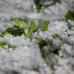 Ανακοίνωση για αποζημίωση χαλαζόπτωσης