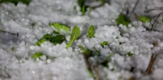 Ανακοίνωση για αποζημίωση χαλαζόπτωσης