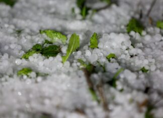 Ανακοίνωση για αποζημίωση χαλαζόπτωσης