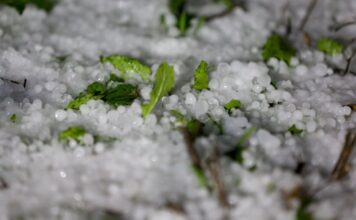 Ανακοίνωση για αποζημίωση χαλαζόπτωσης