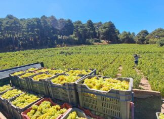 ΠΑΡΑΛΑΒΗ ΔΕΛΤΙΩΝ ΠΑΡΑΔΟΣΗΣ ΣΤΑΦΥΛΙΩΝ