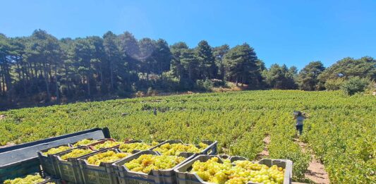 ΠΑΡΑΛΑΒΗ ΔΕΛΤΙΩΝ ΠΑΡΑΔΟΣΗΣ ΣΤΑΦΥΛΙΩΝ