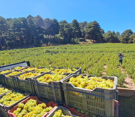 ΠΑΡΑΛΑΒΗ ΔΕΛΤΙΩΝ ΠΑΡΑΔΟΣΗΣ ΣΤΑΦΥΛΙΩΝ