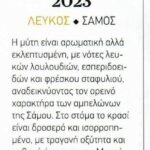 Scan 4