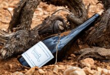 ΑΡΧΕΓΟΝΑ ΕΔΑΦΗ: ΑΝΑΜΕΣΑ ΣΤΑ 50 ΚΟΡΥΦΑΙΑ ΚΡΑΣΙΑ