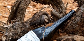 ΑΡΧΕΓΟΝΑ ΕΔΑΦΗ: ΑΝΑΜΕΣΑ ΣΤΑ 50 ΚΟΡΥΦΑΙΑ ΚΡΑΣΙΑ