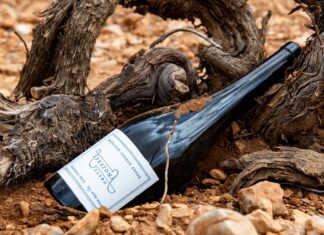 ΑΡΧΕΓΟΝΑ ΕΔΑΦΗ: ΑΝΑΜΕΣΑ ΣΤΑ 50 ΚΟΡΥΦΑΙΑ ΚΡΑΣΙΑ