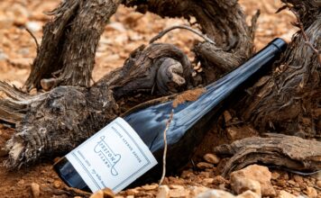 ΑΡΧΕΓΟΝΑ ΕΔΑΦΗ: ΑΝΑΜΕΣΑ ΣΤΑ 50 ΚΟΡΥΦΑΙΑ ΚΡΑΣΙΑ