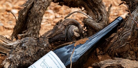 ΑΡΧΕΓΟΝΑ ΕΔΑΦΗ: ΑΝΑΜΕΣΑ ΣΤΑ 50 ΚΟΡΥΦΑΙΑ ΚΡΑΣΙΑ