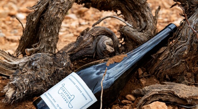 ΑΡΧΕΓΟΝΑ ΕΔΑΦΗ: ΑΝΑΜΕΣΑ ΣΤΑ 50 ΚΟΡΥΦΑΙΑ ΚΡΑΣΙΑ