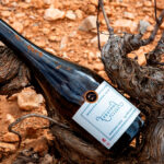 ΤΑ ΜΟΣΧΑΤΑ ΣΑΜΟΥ «ΔΙΑΜΑΝΤΙΑ» ΤΟΥ ΠΑΓΚΟΣΜΙΟΥ ΑΜΠΕΛΩΝΑ