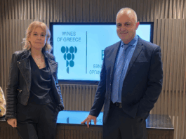 Νέος πρόεδρος της ΕΔΟΑΟ αναλαμβάνει ο Ιωάννης Σκούτας