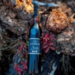 Στα 10 καλύτερα κρασιά του κόσμου η Σάμος: Το Samos Nectar “κεντά” το χρυσό του όνομα στα Taste Atlas