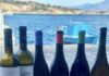 Η Σάμος υποδέχεται κορυφαίους Αμερικανούς Wine Experts στο πλαίσιο του προγράμματος “Wines of Greece”