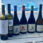 Η Σάμος υποδέχεται κορυφαίους Αμερικανούς Wine Experts στο πλαίσιο του προγράμματος “Wines of Greece”