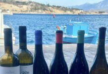 Η Σάμος υποδέχεται κορυφαίους Αμερικανούς Wine Experts στο πλαίσιο του προγράμματος “Wines of Greece”