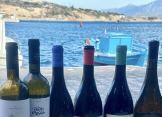 Η Σάμος υποδέχεται κορυφαίους Αμερικανούς Wine Experts στο πλαίσιο του προγράμματος “Wines of Greece”