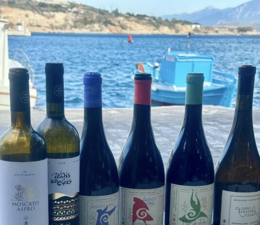 Η Σάμος υποδέχεται κορυφαίους Αμερικανούς Wine Experts στο πλαίσιο του προγράμματος “Wines of Greece”
