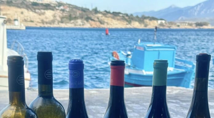 Η Σάμος υποδέχεται κορυφαίους Αμερικανούς Wine Experts στο πλαίσιο του προγράμματος “Wines of Greece”