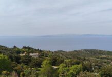 ΔΕΛΤΙΟ ΤΥΠΟΥ ΕΟΣ ΣΑΜΟΥ ΓΙΑ ΤΟΥΣ ΑΓΡΙΟΧΟΙΡΟΥΣ