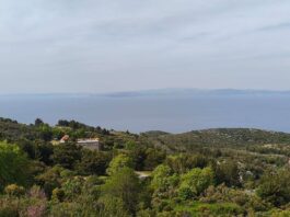 ΔΕΛΤΙΟ ΤΥΠΟΥ ΕΟΣ ΣΑΜΟΥ ΓΙΑ ΤΟΥΣ ΑΓΡΙΟΧΟΙΡΟΥΣ