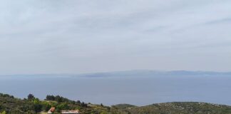 ΔΕΛΤΙΟ ΤΥΠΟΥ ΕΟΣ ΣΑΜΟΥ ΓΙΑ ΤΟΥΣ ΑΓΡΙΟΧΟΙΡΟΥΣ