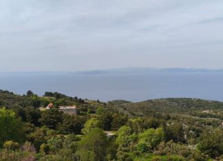 ΔΕΛΤΙΟ ΤΥΠΟΥ ΕΟΣ ΣΑΜΟΥ ΓΙΑ ΤΟΥΣ ΑΓΡΙΟΧΟΙΡΟΥΣ