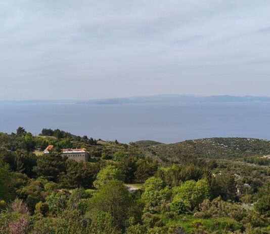 ΔΕΛΤΙΟ ΤΥΠΟΥ ΕΟΣ ΣΑΜΟΥ ΓΙΑ ΤΟΥΣ ΑΓΡΙΟΧΟΙΡΟΥΣ