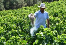 ΘΕΙΑΦΙ ΕΠΙΠΑΣΗΣ ΔΙΑΤΙΘΕΤΑΙ ΣΤΑ ΓΕΩΡΓΙΚΑ ΕΦΟΔΙΑ