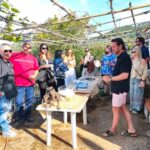 wines of greece (2)