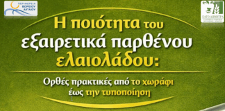 Ενημερωτική ημερίδα για ποιοτική αναβάθμιση ελαιολάδου