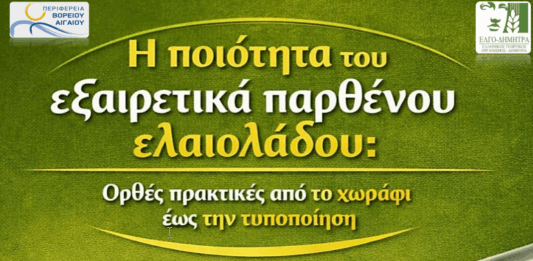 Ενημερωτική ημερίδα για ποιοτική αναβάθμιση ελαιολάδου
