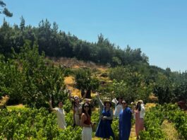 Από τη χώρα του μεταξιού, στη γη του μοσχάτου