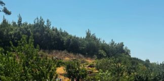 Από τη χώρα του μεταξιού, στη γη του μοσχάτου