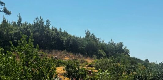 Από τη χώρα του μεταξιού, στη γη του μοσχάτου